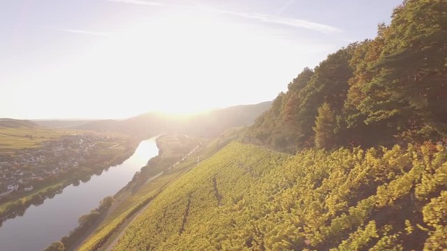 Mosel Valley Sunshine