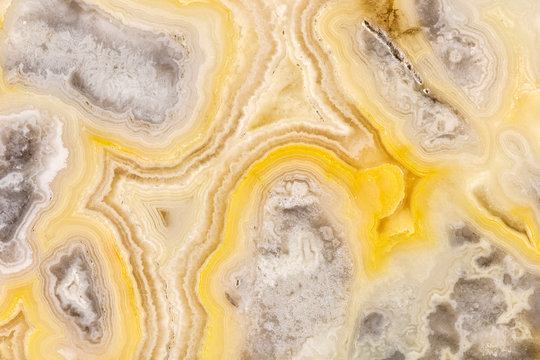 Crazy Lace Agate Closeup