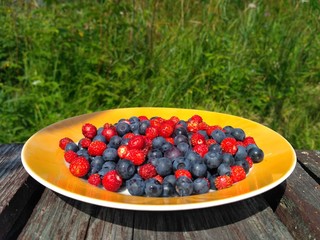 fresh berries in a bowl