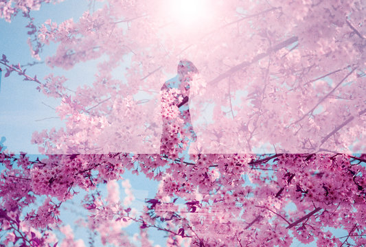 Silhouette of man filled with pink cherry blossoms