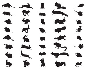 Black silhouettes of rodents on a white background