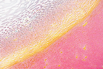 Abstract fluid paint