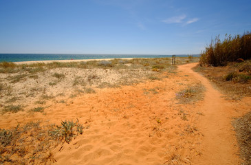 Praia da Falesia - Falesia beach in Algarve, Portugal.