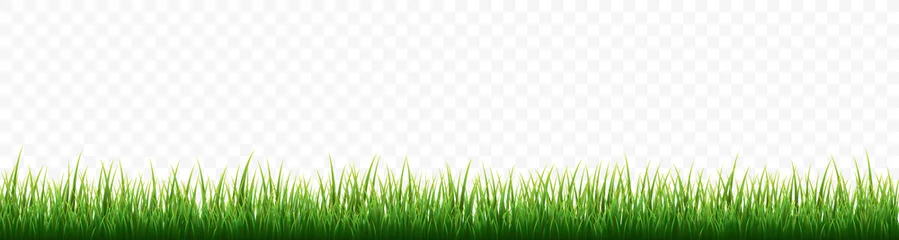 Fotobehang Green grass border set on white background. Vector Illustration © Oleh