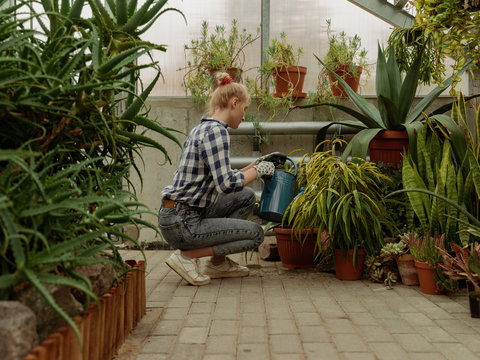Woman watering flowerpots in conservatory