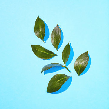 Flat Lay view of a single yellow mango with green leaves on blue
