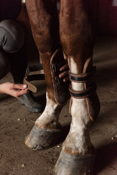 Crop rider preparing horse in barn
