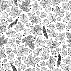 Seamless pattern with floral elements. Sketch.  Freehand drawing