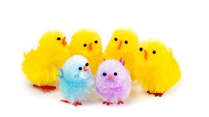 Easter chicks group