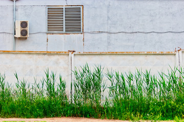 Industrial buiding behind the wall with reed grows in front of