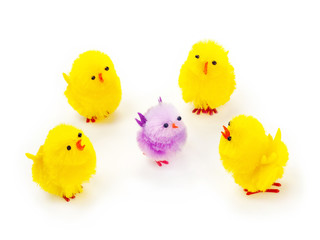Easter chicks diversity