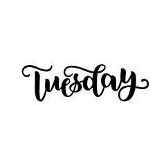 Tuesday. Handwriting font by calligraphy.  illustration isolated on white background. EPS 10. Brush ink black lettering. Day of Week