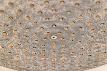 Rainforest shower head extremely extremely lime