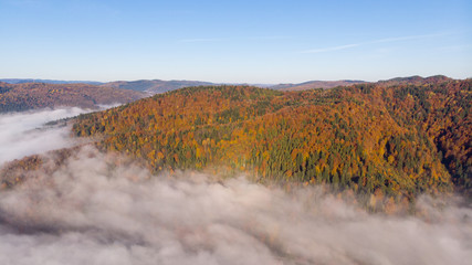 Aerial view of autumn Carpathian Mountains and forests. Morning fog will envelops the mountains. Ukraine