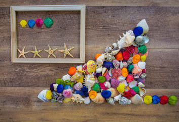 sea shells in groups with a frame and star fish