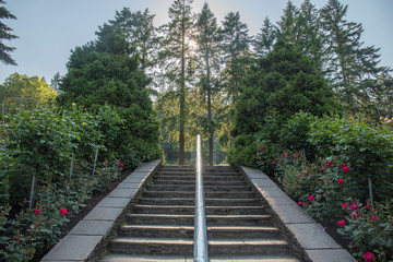 International Rose Test Garden