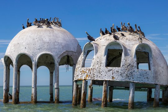 Wreck Of Famous Dome Houses In The Sea With Pelicans On Top, Marco Island