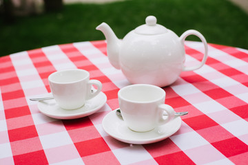 White tea service for two. Tea pair with a teapot and a milk jug on a bright multi-colored checkered tablecloth