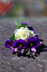 White rose and purple desert lilies or also called prairie bell on stone.