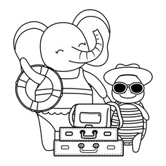 cute animals enjoying summer vacations