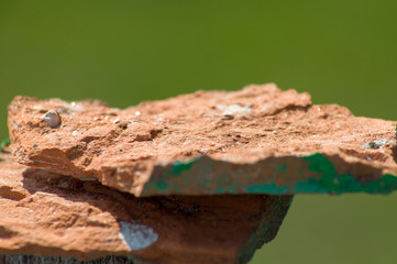 stone for mockup disign at green background
