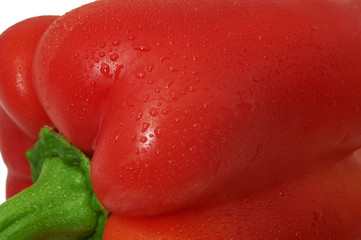 Close-up of red bell pepper on white background with dropes of water