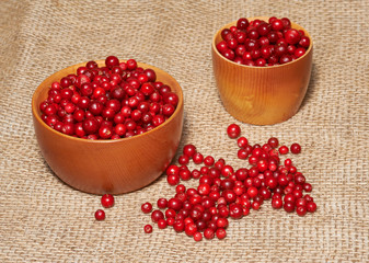 Two wooden bowls with red bilberry on canvas as background