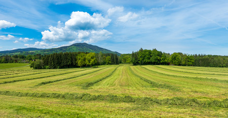 Bayerische Landschaft im Frühling