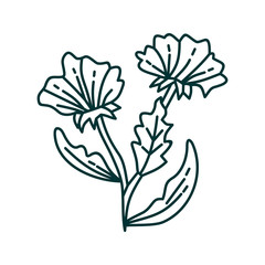 Flower Leaf Illustration Design Template Vector