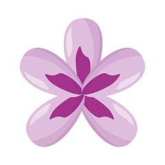 delicate flower decoration