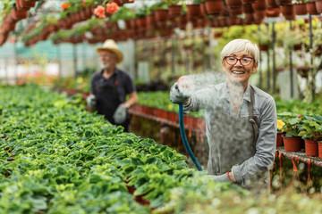 Happy mature woman watering plants in flower plant nursery.