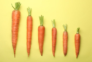 Flat lay composition fresh carrots color background