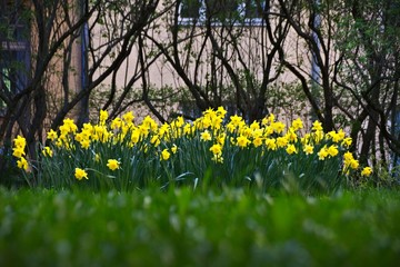 Finlandia - Helsinki © Faedda