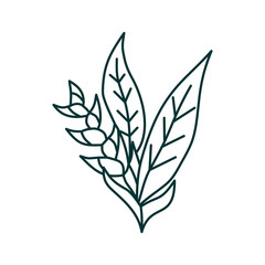 Flower Leaf Illustration Design Template Vector