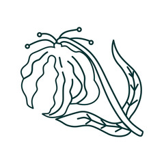 Flower Leaf Illustration Design Template Vector