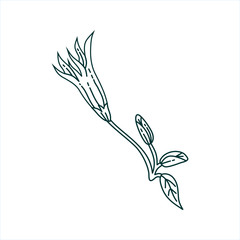 Flower Leaf Illustration Design Template Vector