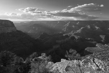 black and white photo of grand canyon at sunset