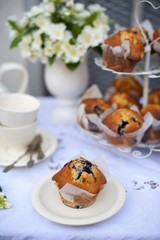 Blueberry muffins. Breakfast in the garden in nature. traditional English tea, high tea .