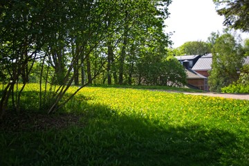 Finlandia - Helsinki