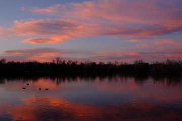Fototapeta na wymiar Sunset over a duck pond