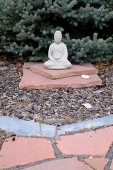 small Statue of Buddah under a tree