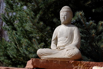 closeup Statue of Buddah under a tree