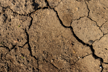 Texture of cracked dry ground for background