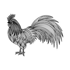 Hand drawn of Rooster isolated. Symbol of the by Chinese Horoscope. Vector illustration. EPS 10