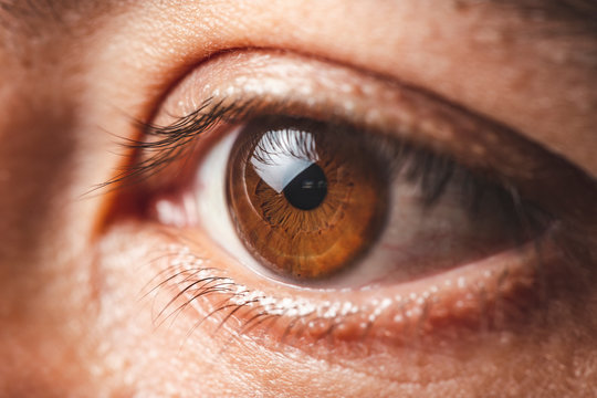 Macro image of human brown eye