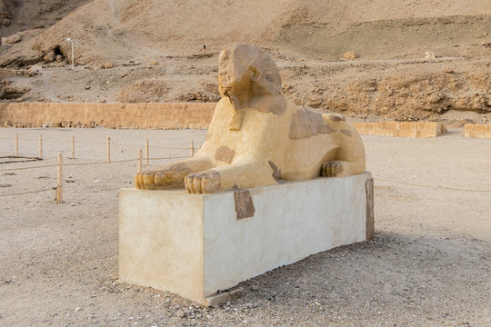 The Sphinx stand at the entrance of the great temple of Queen Hatshepsut in Luxor, Egypt