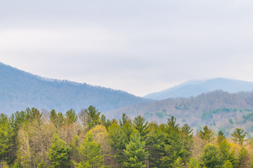 Obraz premium Smoky Mountains near Asheville, North Carolina at Tennessee border in spring with cloudy overcast sky