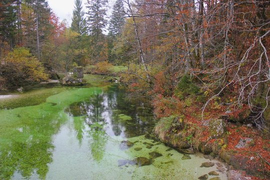 River Sava in Ukanc, Bohinj