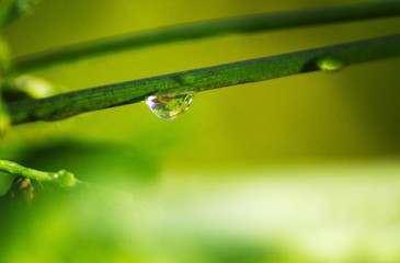 Search Photos By Katrin888