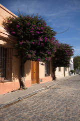 Fototapeta na wymiar Calles de Colonia Uruguay